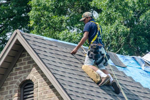 Trusted Bolivar, TN Roofing Contractor Experts